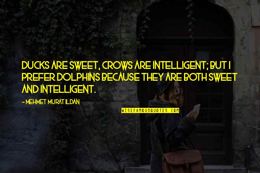 Lovitz Andy Quotes By Mehmet Murat Ildan: Ducks are sweet, crows are intelligent; but I