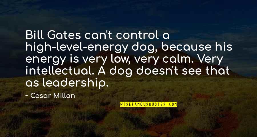 Low Energy Quotes By Cesar Millan: Bill Gates can't control a high-level-energy dog, because