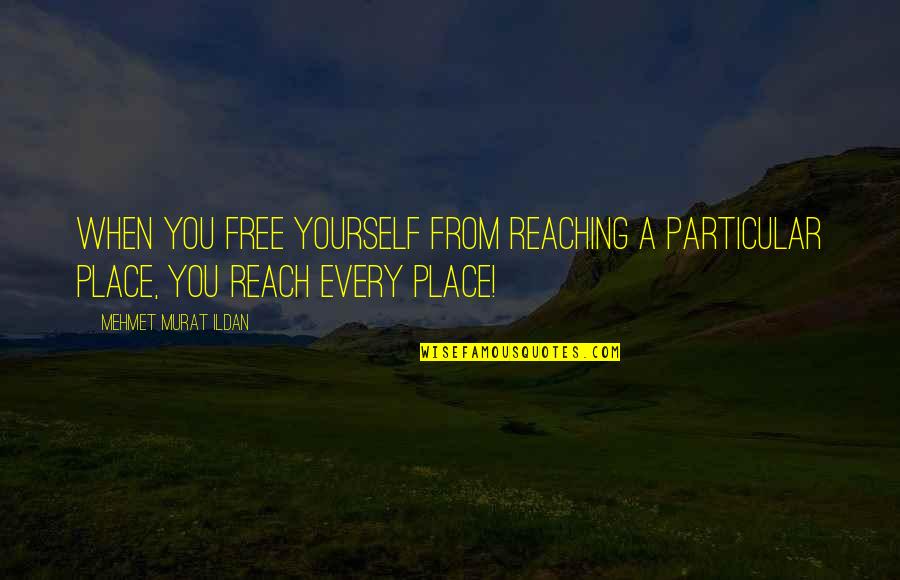 Low Iron Quotes By Mehmet Murat Ildan: When you free yourself from reaching a particular