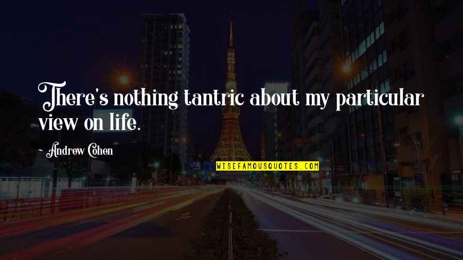Low Key Haters Quotes By Andrew Cohen: There's nothing tantric about my particular view on