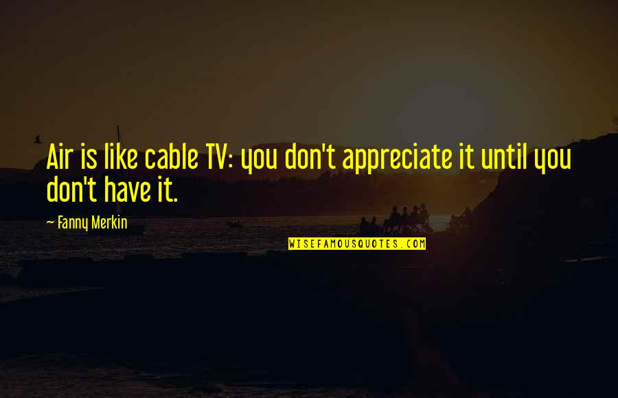 Low Light Photography Quotes By Fanny Merkin: Air is like cable TV: you don't appreciate