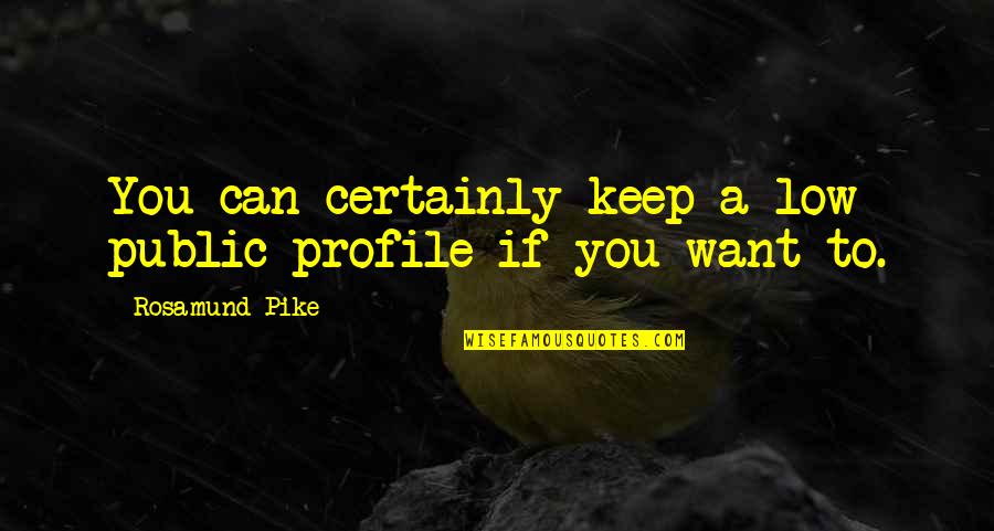 Low Profile Quotes By Rosamund Pike: You can certainly keep a low public profile Low Profile Quotes By Rosamund Pike: You can certainly keep a low public profile