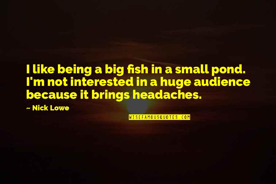 Lowe Quotes By Nick Lowe: I like being a big fish in a