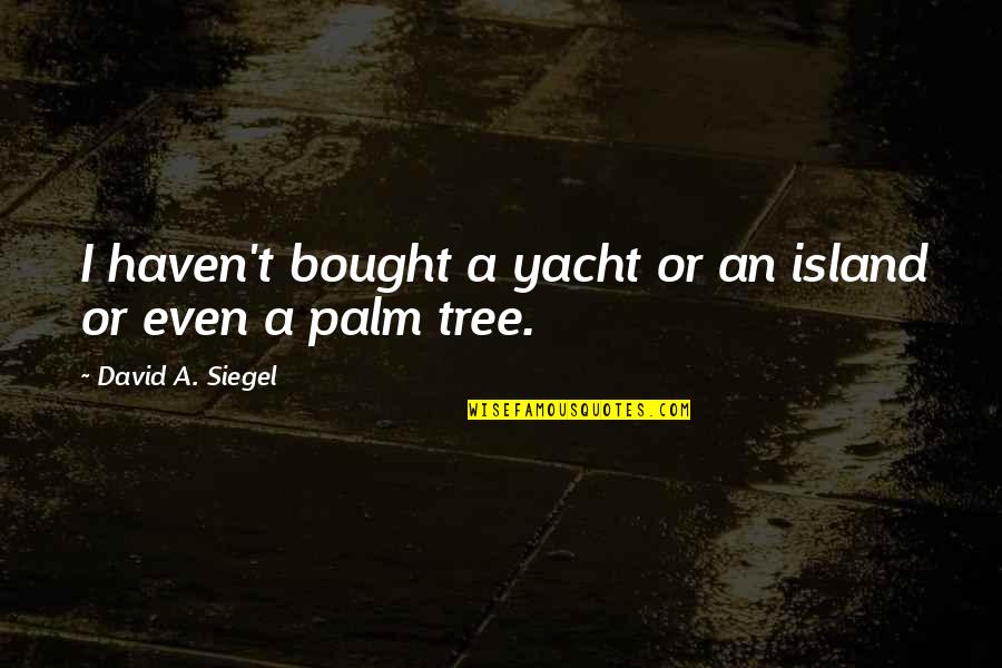 Lower Back Quotes By David A. Siegel: I haven't bought a yacht or an island