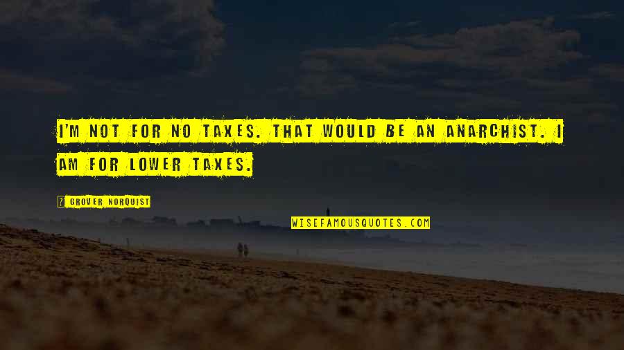 Lower Taxes Quotes By Grover Norquist: I'm not for no taxes. That would be