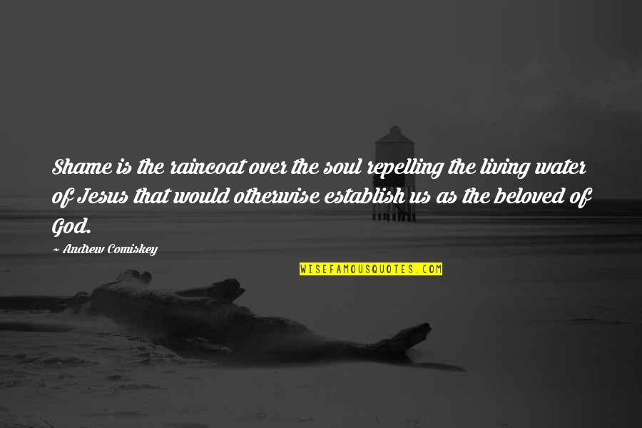 Lower World Journey Quotes By Andrew Comiskey: Shame is the raincoat over the soul repelling Lower World Journey Quotes By Andrew Comiskey: Shame is the raincoat over the soul repelling