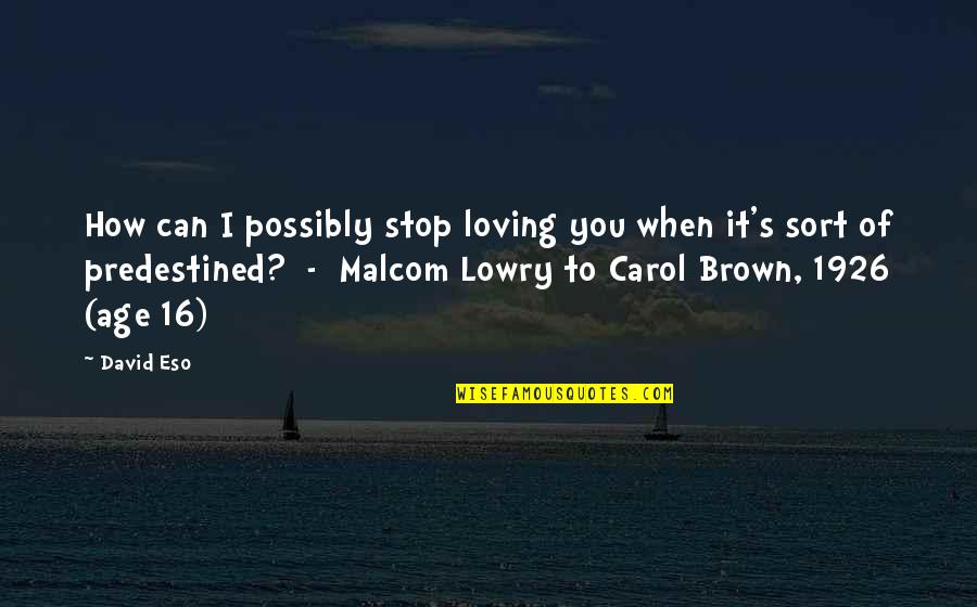 Lowry's Quotes By David Eso: How can I possibly stop loving you when
