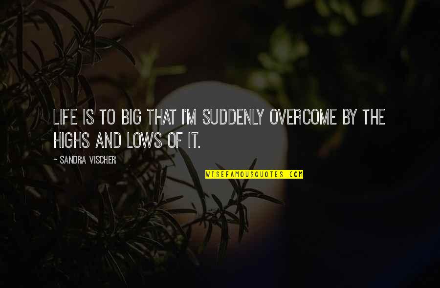 Lows And Highs Quotes By Sandra Vischer: Life is to BIG that I'm suddenly overcome