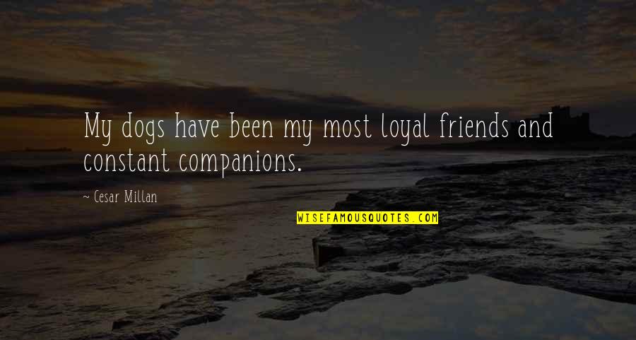 Loyal Companion Dog Quotes By Cesar Millan: My dogs have been my most loyal friends