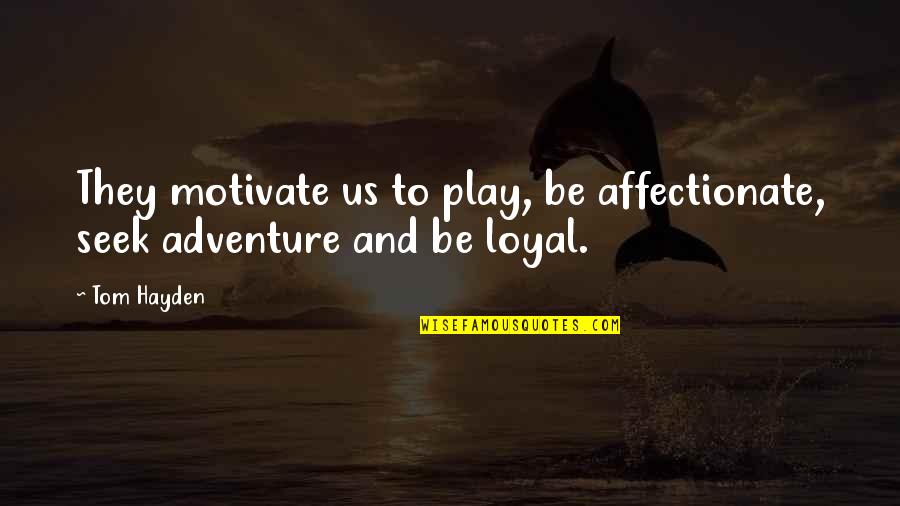 Loyal Dog Quotes By Tom Hayden: They motivate us to play, be affectionate, seek