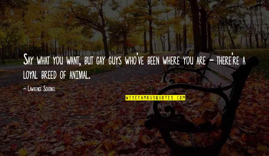 Loyal Guys Quotes By Lawrence Schimel: Say what you want, but gay guys who've