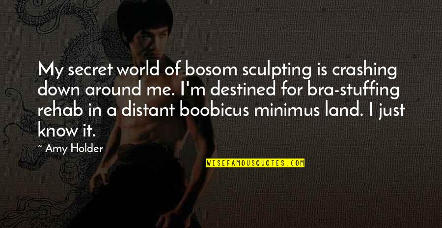 Loyal Man Quotes By Amy Holder: My secret world of bosom sculpting is crashing