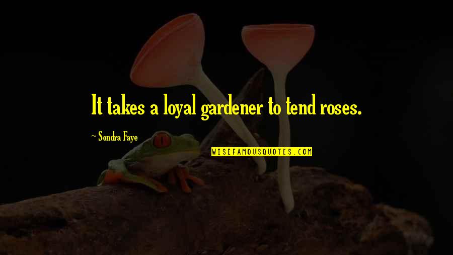 Loyal Quotes By Sondra Faye: It takes a loyal gardener to tend roses.