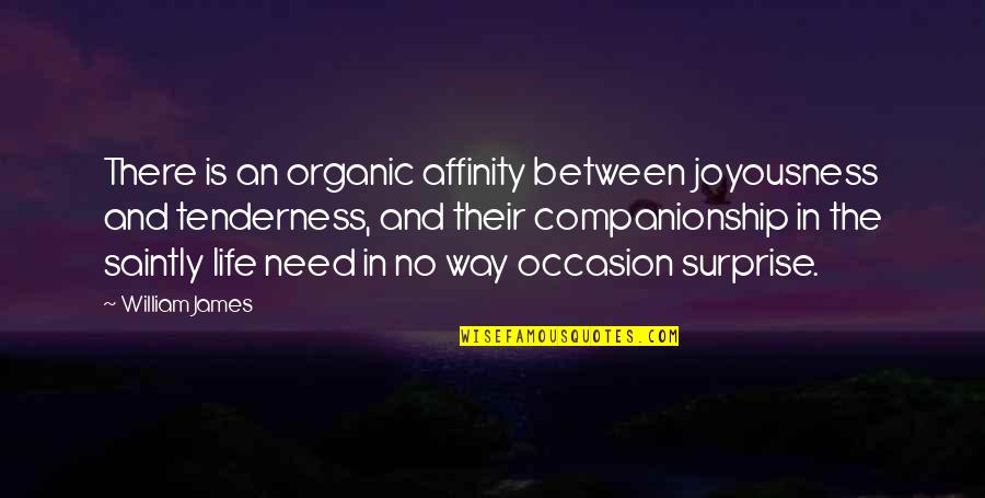 Lozancic Dragan Quotes By William James: There is an organic affinity between joyousness and Lozancic Dragan Quotes By William James: There is an organic affinity between joyousness and