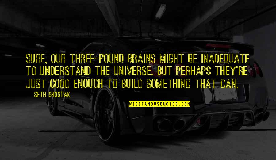 Lsd Inspirational Quotes By Seth Shostak: Sure, our three-pound brains might be inadequate to Lsd Inspirational Quotes By Seth Shostak: Sure, our three-pound brains might be inadequate to