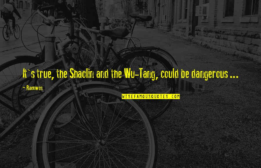 Lss Quotes By Raekwon: It's true, the Shaolin and the Wu-Tang, could