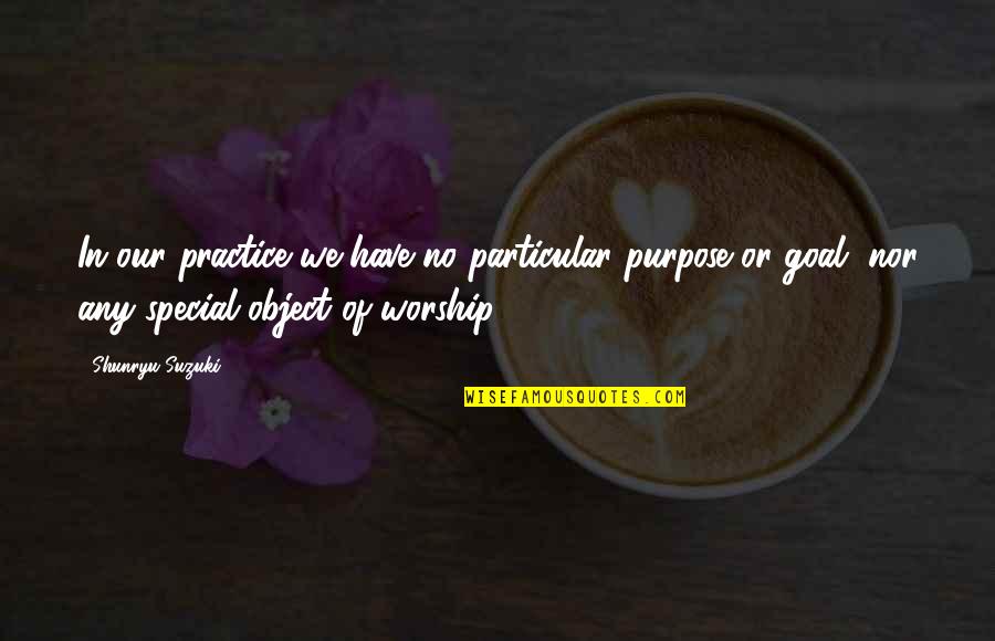 Lt Frank Drebin Quotes By Shunryu Suzuki: In our practice we have no particular purpose