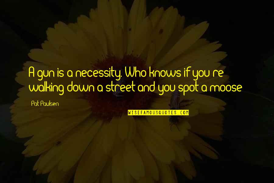 Ltodrivingexam Quotes By Pat Paulsen: A gun is a necessity. Who knows if