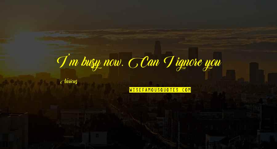 Ltrs Book Quotes By Various: I'm busy now. Can I ignore you Ltrs Book Quotes By Various: I'm busy now. Can I ignore you