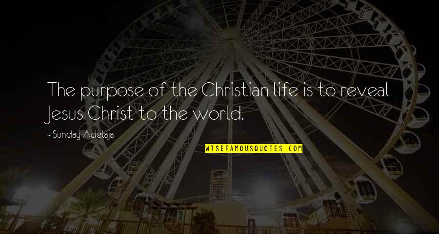 Lttnet Quotes By Sunday Adelaja: The purpose of the Christian life is to