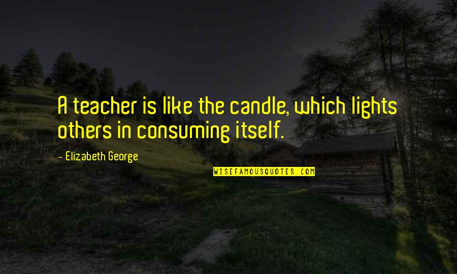 Luau Theme Party Quotes By Elizabeth George: A teacher is like the candle, which lights