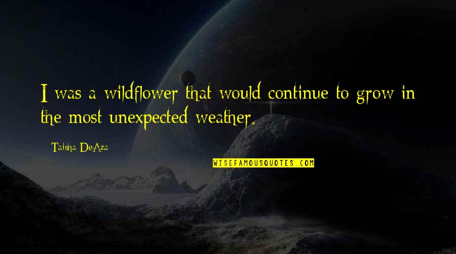 Lubov Pod Quotes By Taisha DeAza: I was a wildflower that would continue to