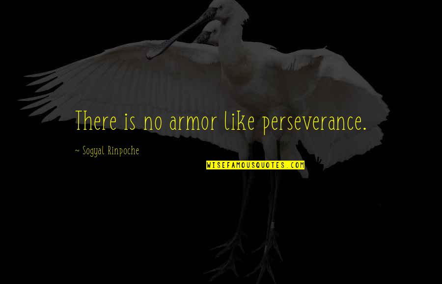 Lubumbashi Airport Quotes By Sogyal Rinpoche: There is no armor like perseverance.