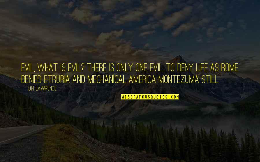 Luc De Clapiers Marquis De Vauvenargues Quotes By D.H. Lawrence: Evil, what is evil? There is only one