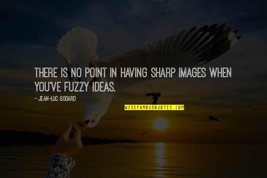Luc Quotes By Jean-Luc Godard: There is no point in having sharp images