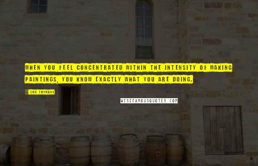 Luc Tuymans quotes: When you feel concentrated within the intensity of making paintings, you know exactly what you are doing.