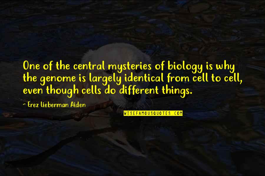 Lucania Map Quotes By Erez Lieberman Aiden: One of the central mysteries of biology is Lucania Map Quotes By Erez Lieberman Aiden: One of the central mysteries of biology is