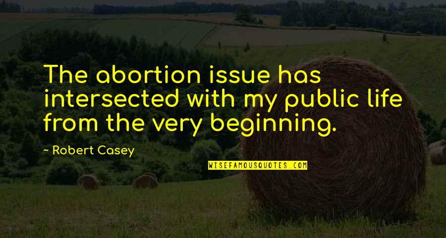 Lucania Map Quotes By Robert Casey: The abortion issue has intersected with my public