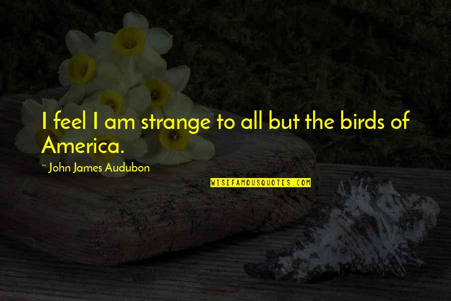 Lucas Hood Quotes By John James Audubon: I feel I am strange to all but Lucas Hood Quotes By John James Audubon: I feel I am strange to all but