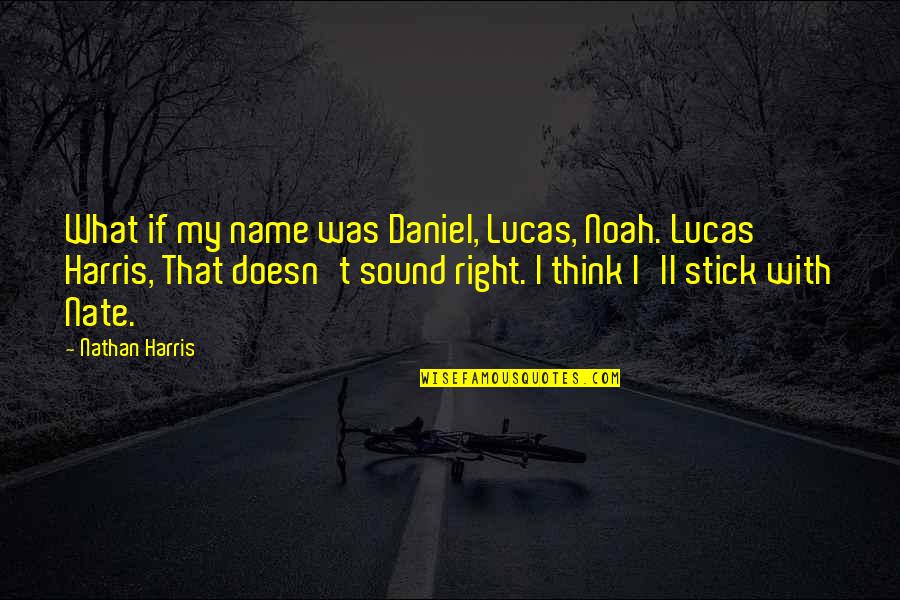 Lucas Quotes By Nathan Harris: What if my name was Daniel, Lucas, Noah.