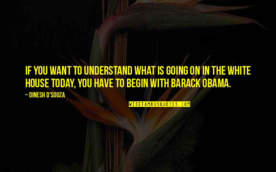 Lucass Girlfriend Quotes By Dinesh D'Souza: If you want to understand what is going Lucass Girlfriend Quotes By Dinesh D'Souza: If you want to understand what is going