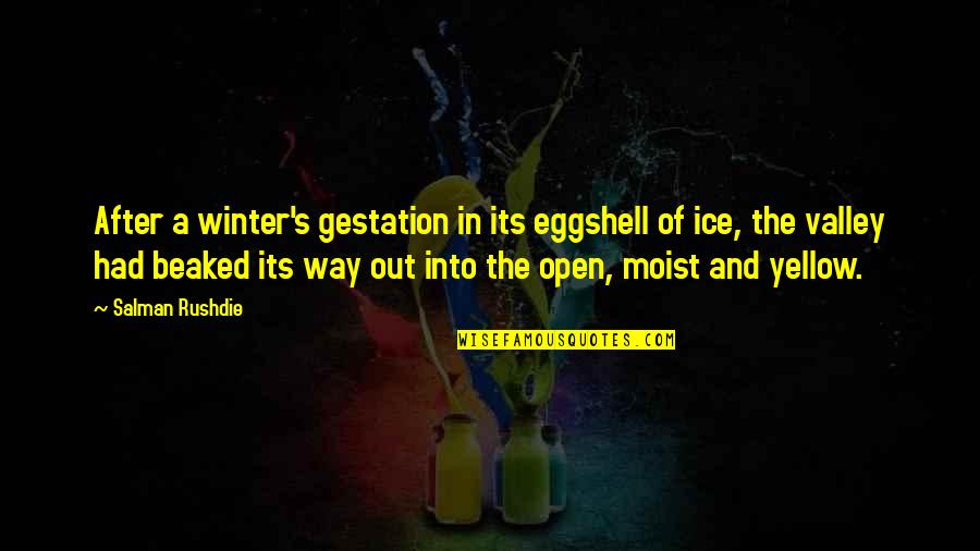 Luchamos Hoy Quotes By Salman Rushdie: After a winter's gestation in its eggshell of