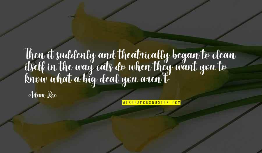 Luchesi Quotes By Adam Rex: Then it suddenly and theatrically began to clean Luchesi Quotes By Adam Rex: Then it suddenly and theatrically began to clean