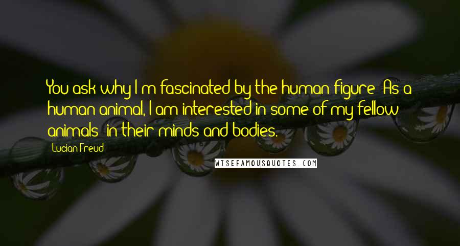 Lucian Freud quotes: You ask why I'm fascinated by the human figure? As a human animal, I am interested in some of my fellow animals: in their minds and bodies.