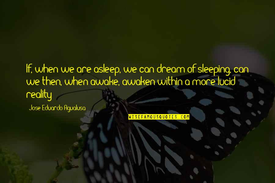 Lucid Dream Quotes By Jose Eduardo Agualusa: If, when we are asleep, we can dream