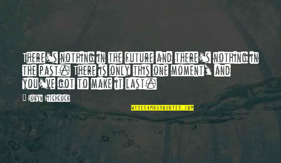 Lucier Quotes By Robyn Hitchcock: There's nothing in the future and there's nothing