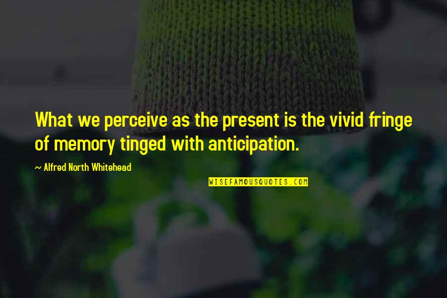 Luciferina Quotes By Alfred North Whitehead: What we perceive as the present is the