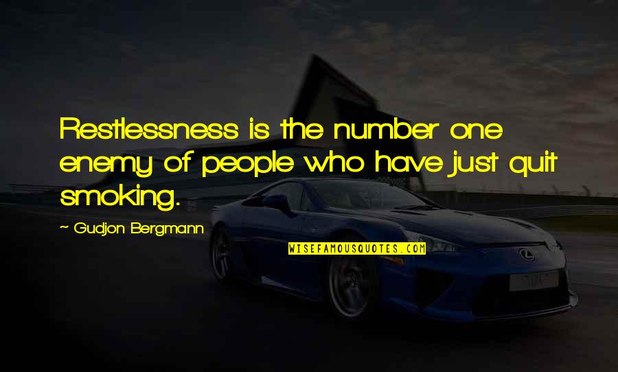 Lucina Super Quotes By Gudjon Bergmann: Restlessness is the number one enemy of people