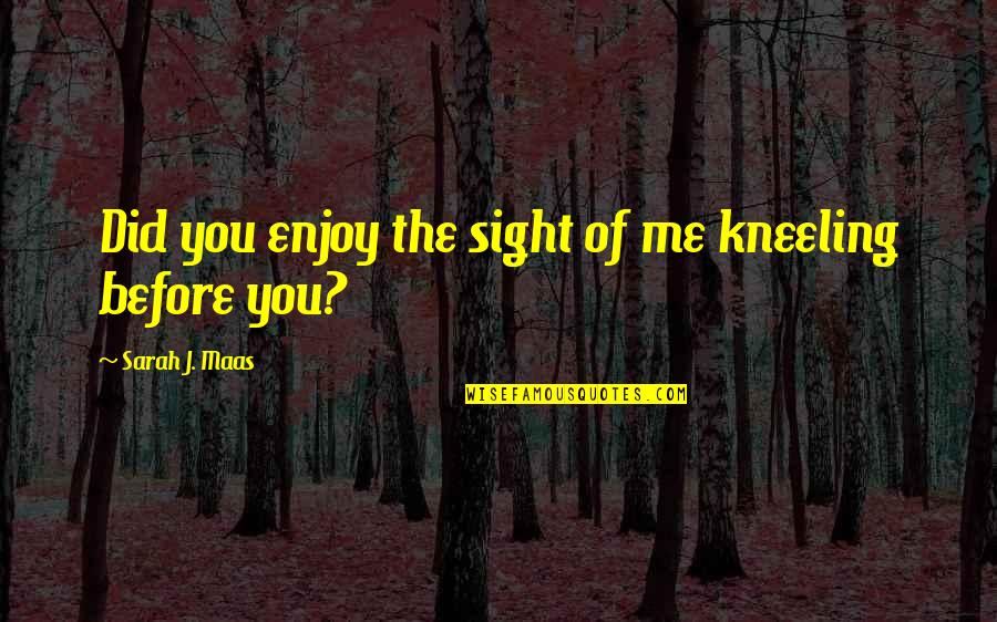 Lucipher Quotes By Sarah J. Maas: Did you enjoy the sight of me kneeling