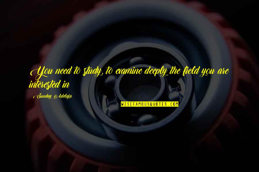 Luck And Lottery Quotes By Sunday Adelaja: You need to study, to examine deeply the Luck And Lottery Quotes By Sunday Adelaja: You need to study, to examine deeply the