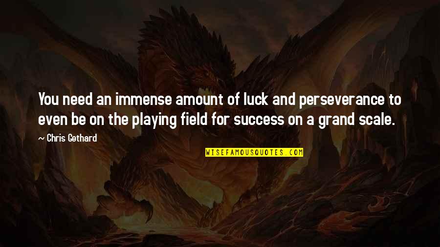 Luck And Success Quotes By Chris Gethard: You need an immense amount of luck and