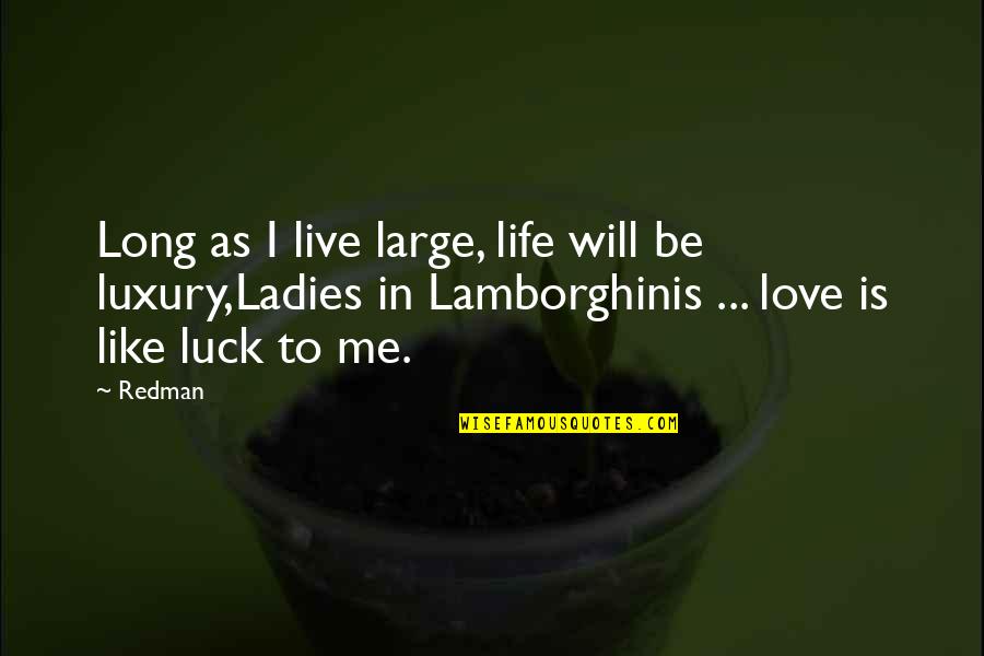 Luck In Life Quotes By Redman: Long as I live large, life will be