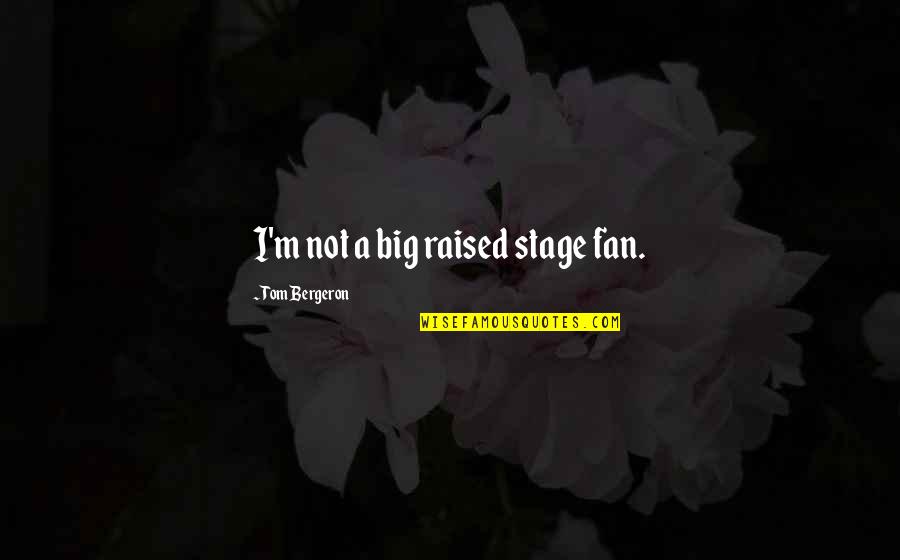 Lucky Dube Famous Quotes By Tom Bergeron: I'm not a big raised stage fan.