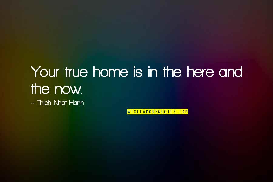 Lucreaza Cu Noi Quotes By Thich Nhat Hanh: Your true home is in the here and Lucreaza Cu Noi Quotes By Thich Nhat Hanh: Your true home is in the here and