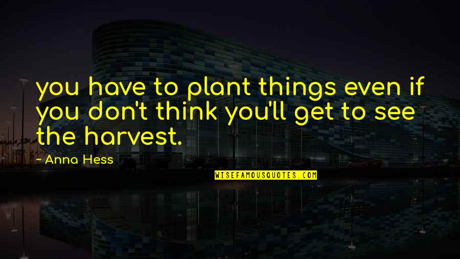 Lucrece Quotes By Anna Hess: you have to plant things even if you