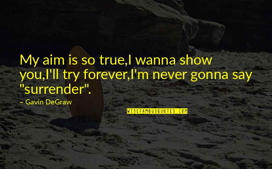 Lucy Ewing Quotes By Gavin DeGraw: My aim is so true,I wanna show you,I'll